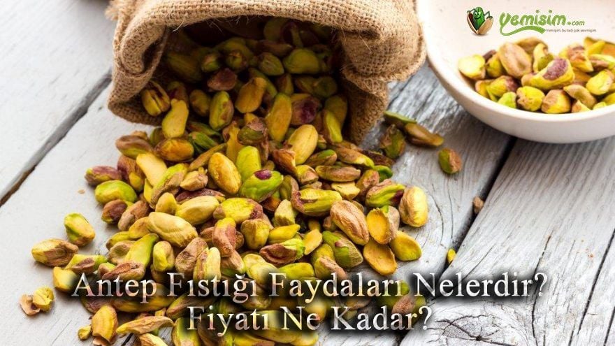 Antep Fıstığı Faydaları Nelerdir? Fiyatı Ne Kadar?