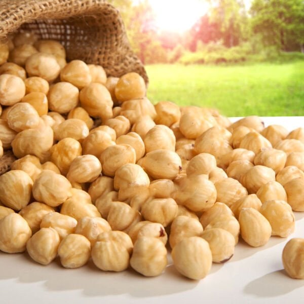 Alper Tunga Fındık İçi Kavrulmuş (Giresun) 11-13mm 500 gr
